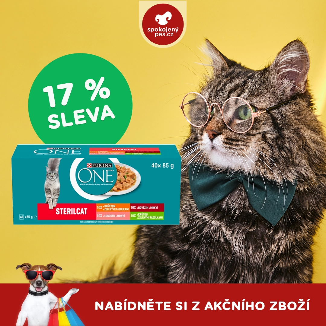 kocka 00012.webp